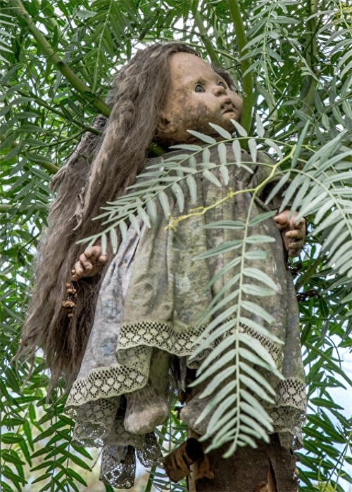 实拍：阴森诡异的鬼娃娃岛