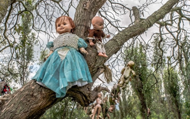 实拍：阴森诡异的鬼娃娃岛