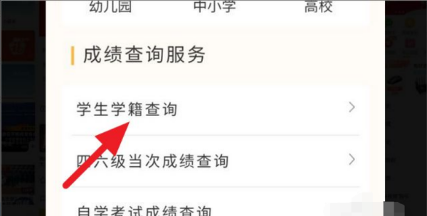 小学学籍怎么查,查询小孩学籍号在哪里查询图5