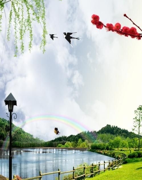 白露由来，二十四节气之白露的由来是什么？图2