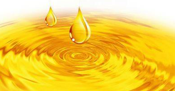 食用油标准GBT534,qq浏览器图4