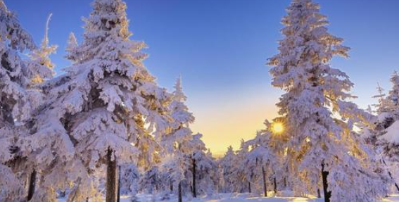 太阳在哪一天离地球最远,太阳在那一天离地球最远图3