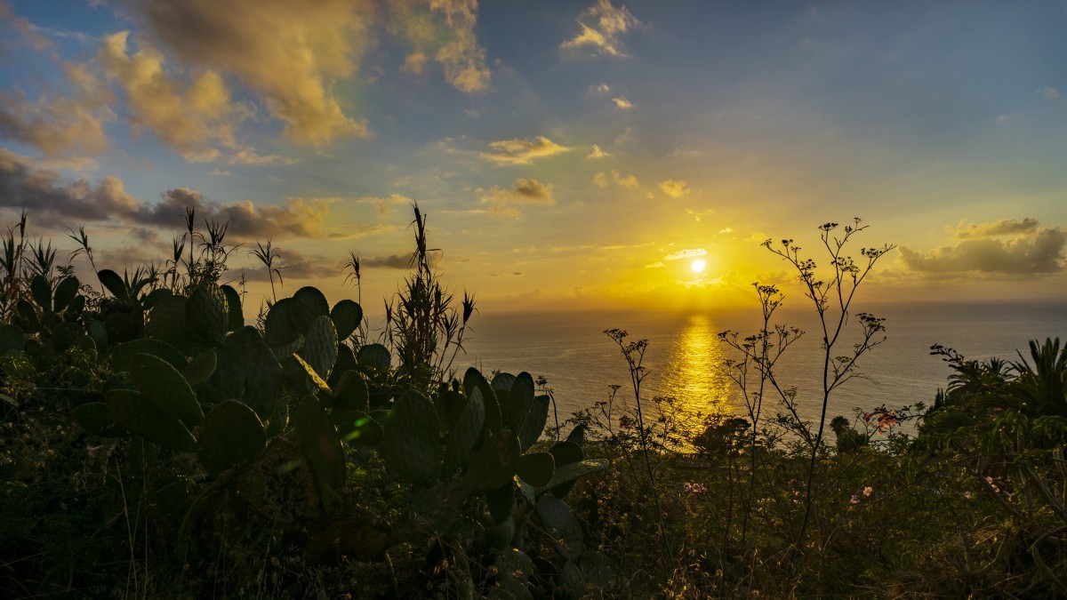 员工培训包括哪些内容（快速了解什么是员工培训）