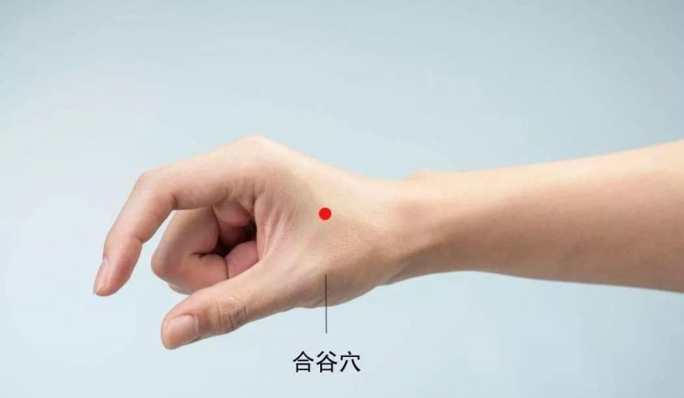 请找出任意一个中医穴位，描述它的大小，薄厚，形状，和人体位置，一个就行，中医粉能做到吗