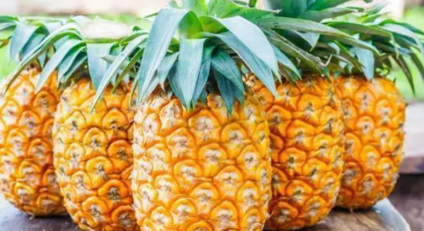 凤梨和菠萝的区别,凤梨和菠萝的区别是什么样子吗?图2