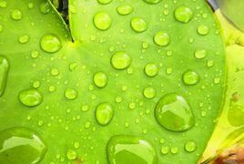 琵琶，小提琴，大提琴的声音用什么描述