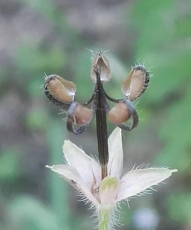 球体有哪些物品，有哪些适合儿童玩的玩具？图18