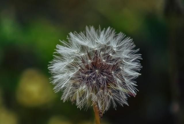 球体有哪些物品，有哪些适合儿童玩的玩具？图17