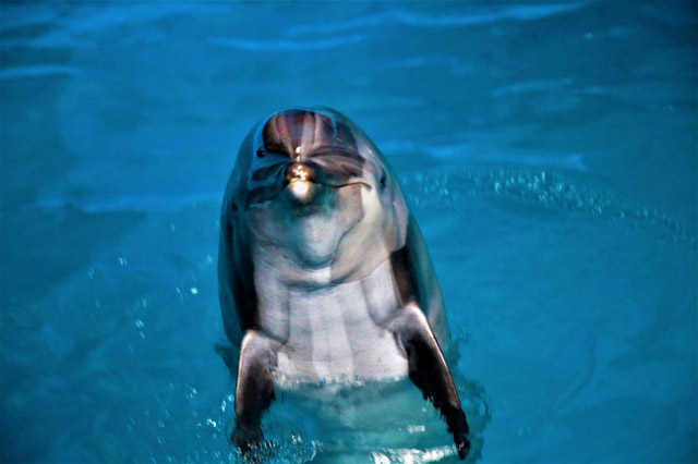 大理旅游攻略 大理必去十大景点排行榜