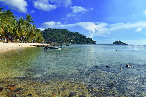 网络图片(侵删)