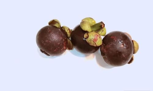 山竹冷藏能放几天