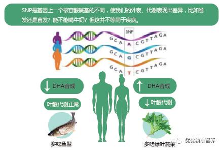 基因检测都是什么技术（基因检测是什么）(2)