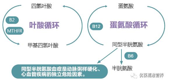 基因检测都是什么技术（基因检测是什么）(3)