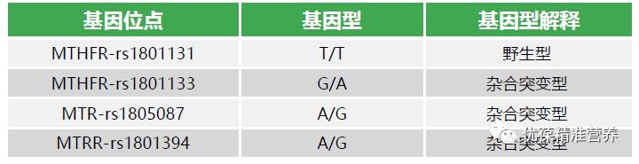 基因检测都是什么技术（基因检测是什么）(4)