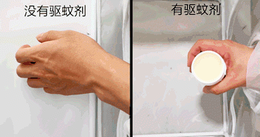 宿舍里有蚊子怎么办