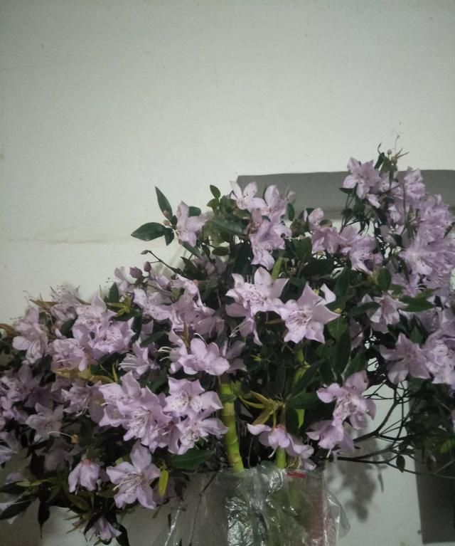 非冷链物品是什么，进口非食品冷链指的是什么？图5