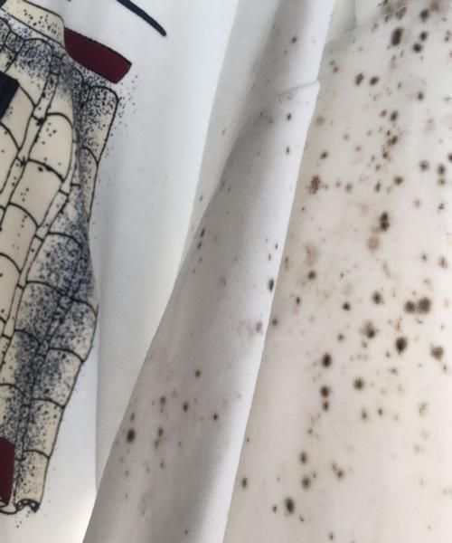 衣服上有霉点用什么能洗掉