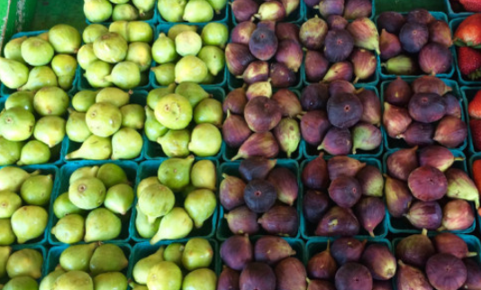 夏天水果上的小飞虫怎么处理,水果上的小飞虫怎么生出来的图3