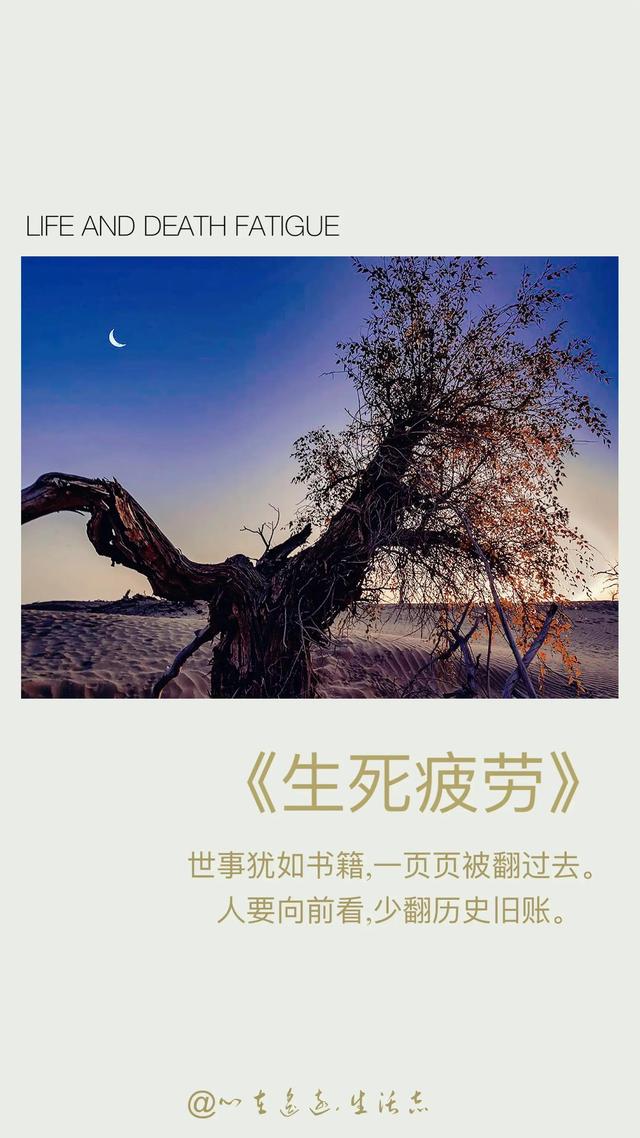 一生最值得看的50本书（6本值得读一辈子）(4)