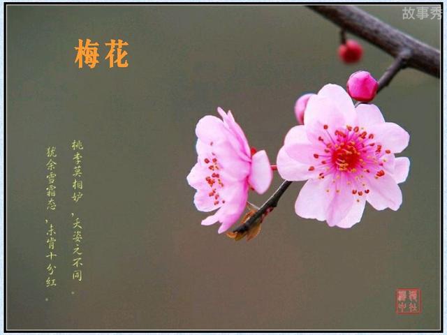 网络图片(侵删)