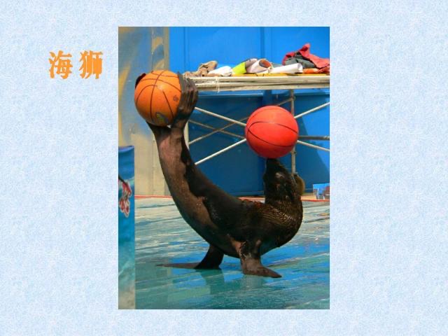 网络图片(侵删)