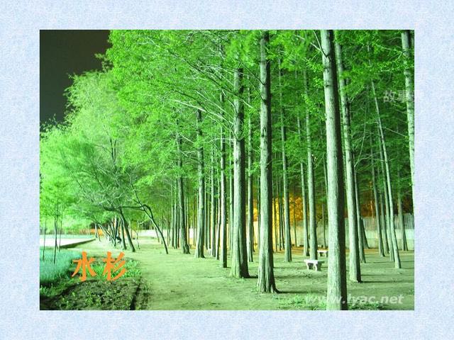 网络图片(侵删)