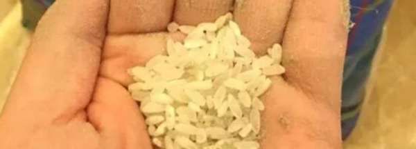 米发霉了怎么办能吃,米发霉了怎么办,能吃吗图1