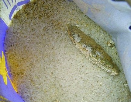 大米发霉了怎么办还能吃吗