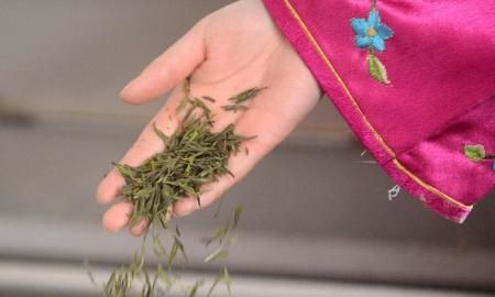 端午节送礼一般送什么，端午节送礼一般送什么？图5