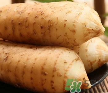 孕妇可以吃天麻吗?孕妇吃天麻对胎儿好吗