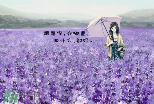 七月份还有薰衣草吗？7月份还有薰衣草吗？