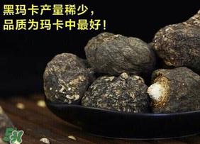 春天能吃玛卡吗？女人春天能吃玛卡吗？