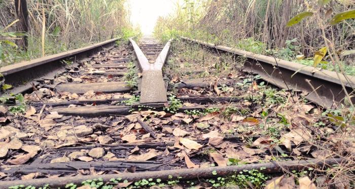 老婆出轨丈夫该怎么办（老公应当如何解决）