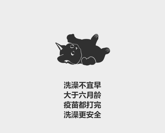 宠物猫需要经常洗澡吗（分分钟了解宠物知识）(2)