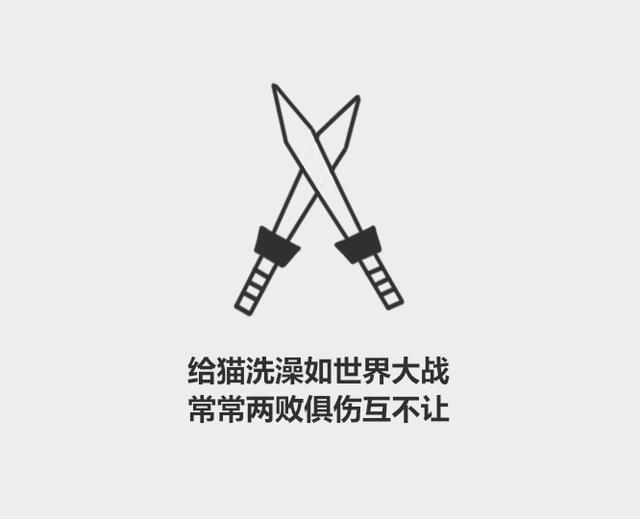 宠物猫需要经常洗澡吗（分分钟了解宠物知识）(1)