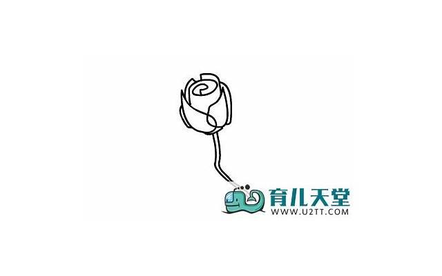 11朵玫瑰花语和寓意，11朵玫瑰花语和寓意及花语