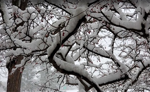 世界风光:美国-密歇根州-底特律