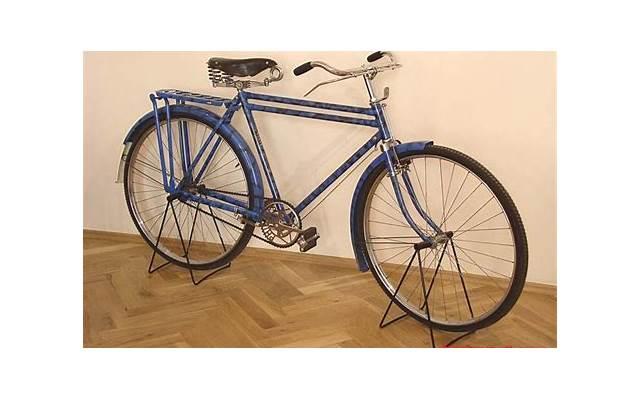 苏芒个人资料（49岁苏芒辞职2年）