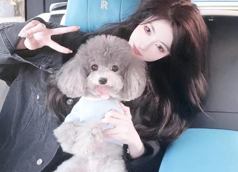 想吃炸酱面不用出去买，教你自己在家做，酱香浓郁，吃两碗不过瘾