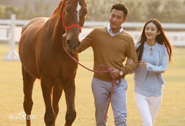 出道至今赵丽颖一共有44部作品（盘点当红花旦赵丽颖作品集）(12)