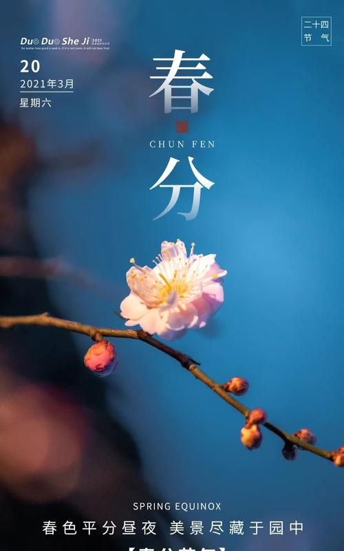 春分这个节气有什么特征