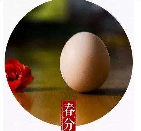 春分节气，春分节气：春分是哪一天，春分的由来及习俗等？图1