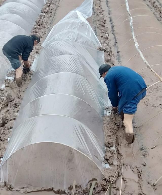 春分节气，春分节气：春分是哪一天，春分的由来及习俗等？图5