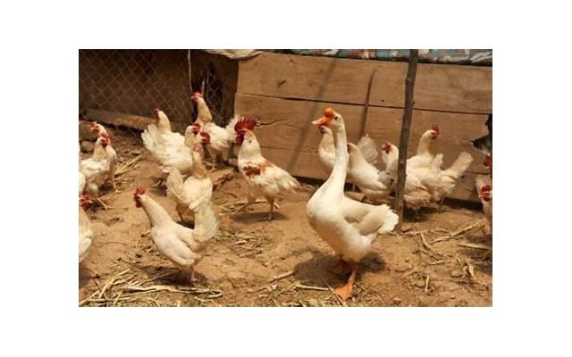  谈恋爱的几个阶段牵手亲吻？循序渐进慢慢来