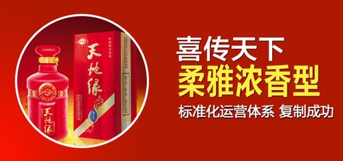 喜传天下42度酒价格表