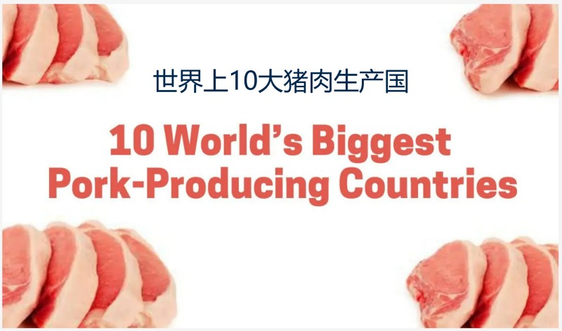 世界猪肉生产国有哪些(世界十大猪肉生产国排名)