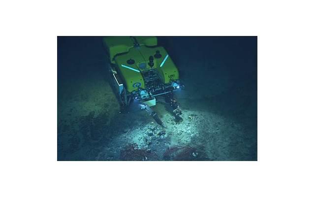 食用黑豆一个月后是否真的能增强性功能？