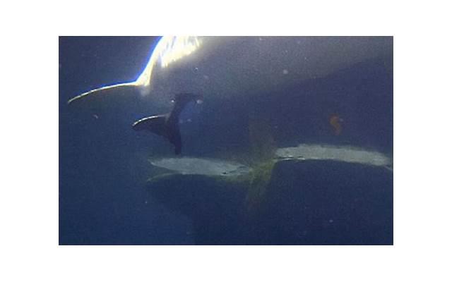 谈恋爱就忌讳什么（最忌讳的就是这9件事）