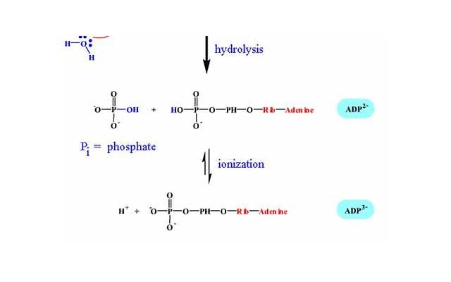已婚男对我有好感却忍住了，是真的吗？