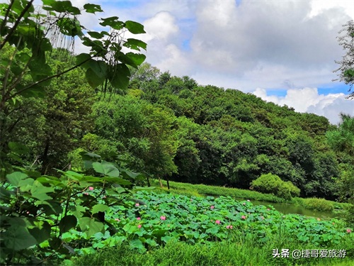 福建省 福州市 西湖公园